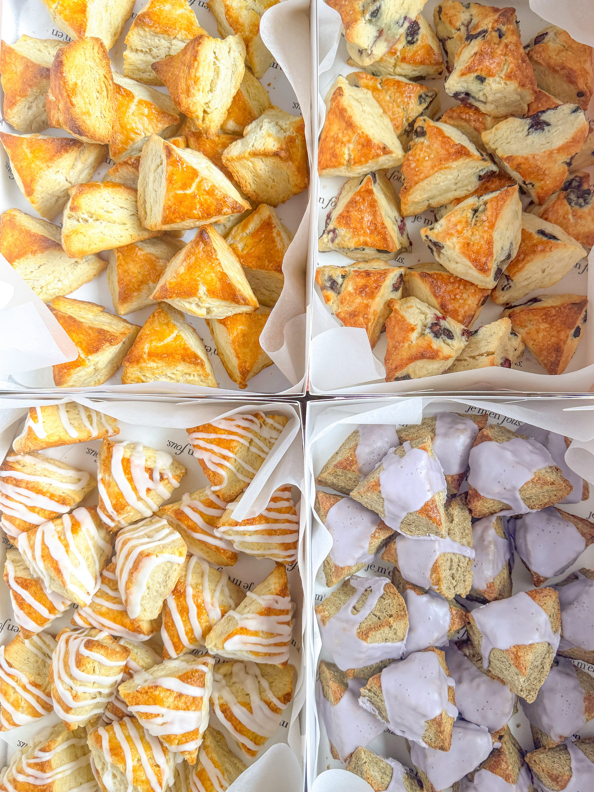 Four boxes of assorted baked scones arranged in a 2x2 grid, featuring classic butter, blueberry, cranberry-orange with a vanilla drizzle, and earl grey with a purple lavender frosting.