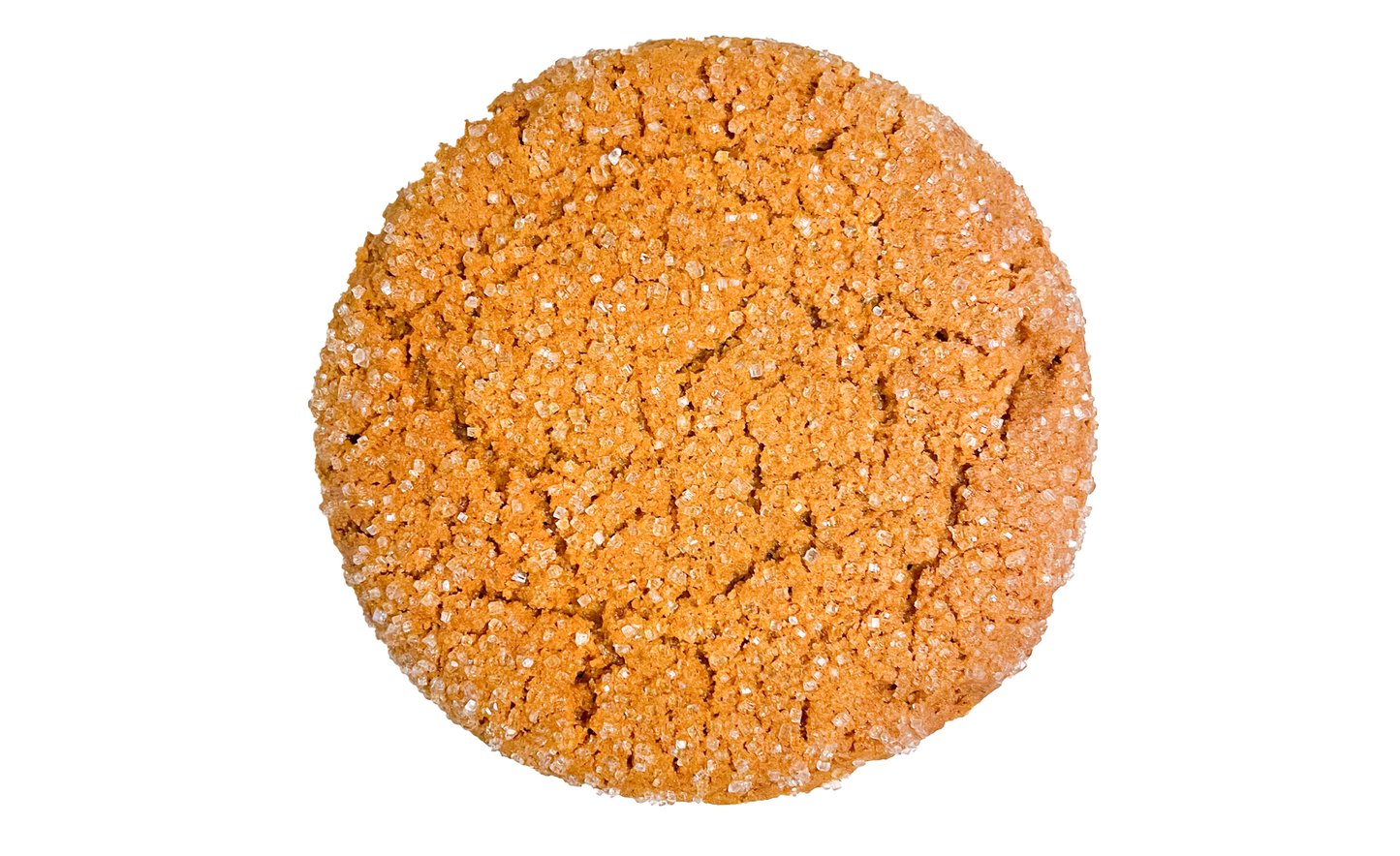 Chewy gingerbread cookie rolled in coarse sugar.