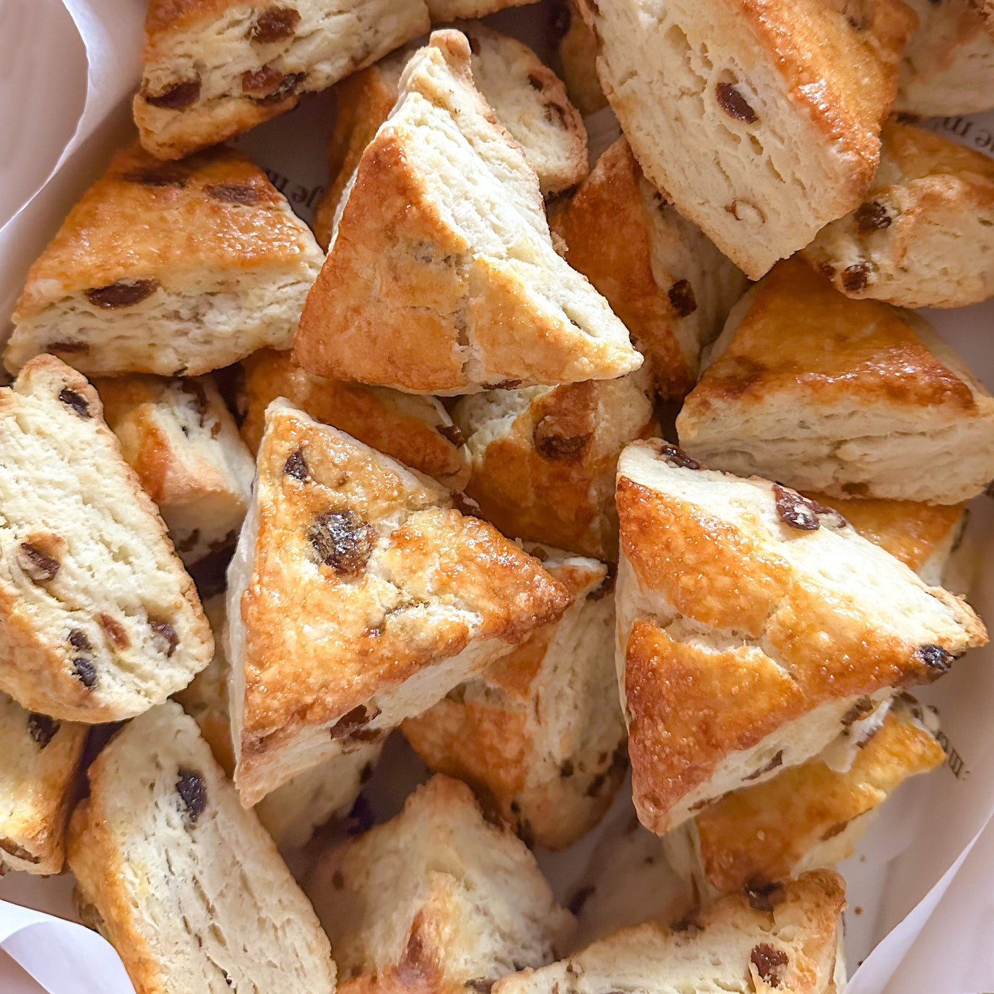 Box filled with triangle shaped sultana raisin scones.
