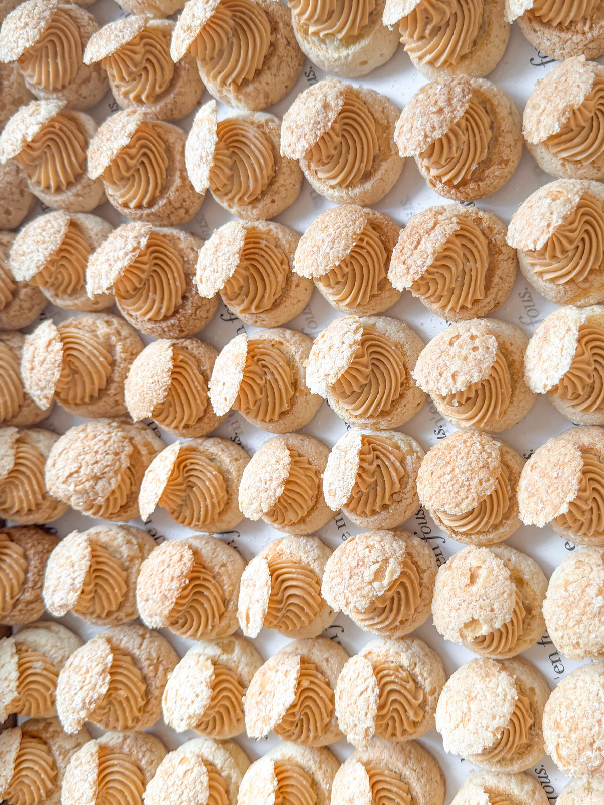 A close-up, top-down view of multiple choux pastry, also known as cream puffs, with a salted caramel filling, dusted with powdered sugar, arranged in neat rows on a white background.