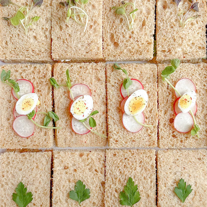 Assorted tea sandwiches decorated with herbs, microgreens and quail eggs.