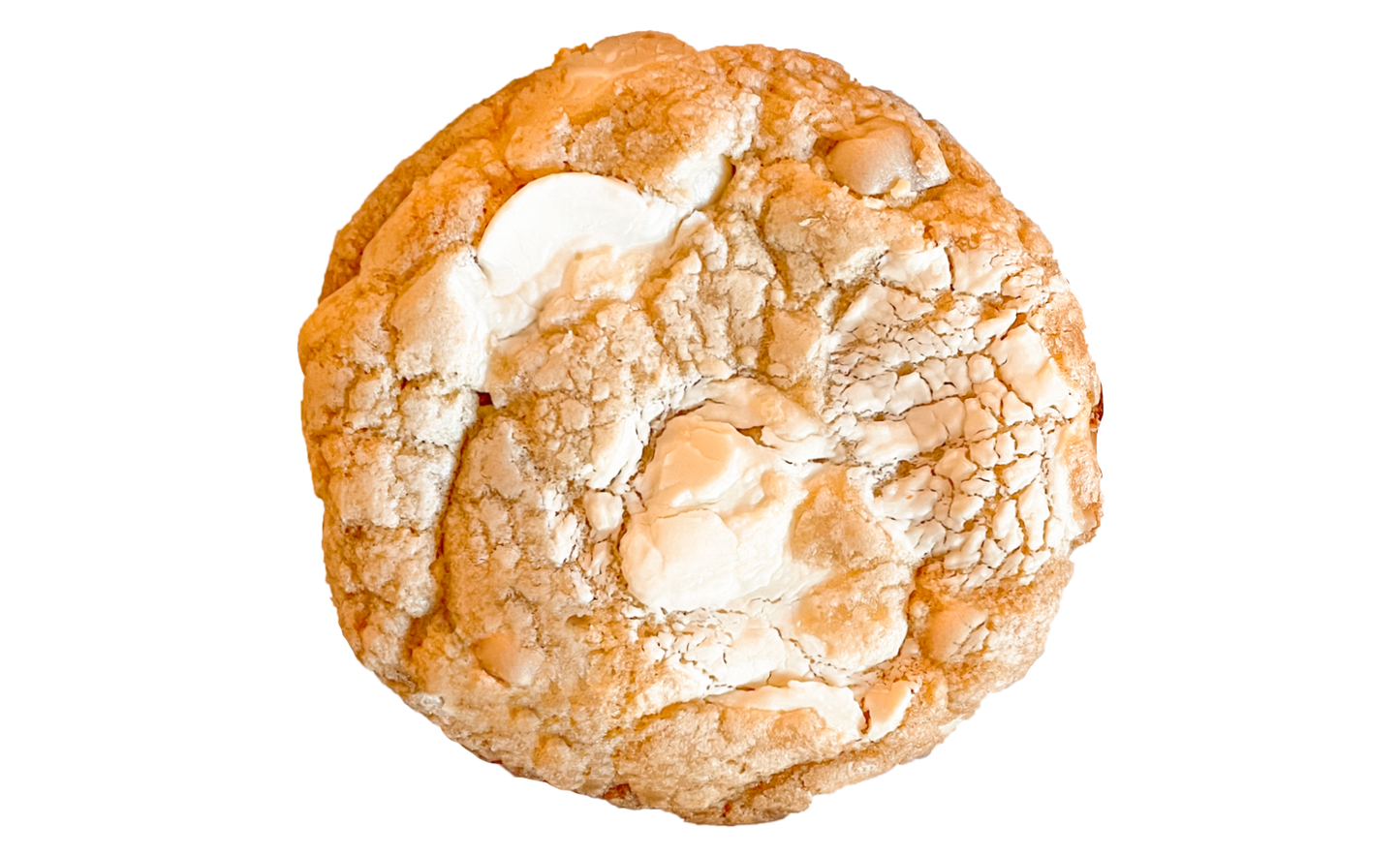 macadamia nut cookie with white chocolate