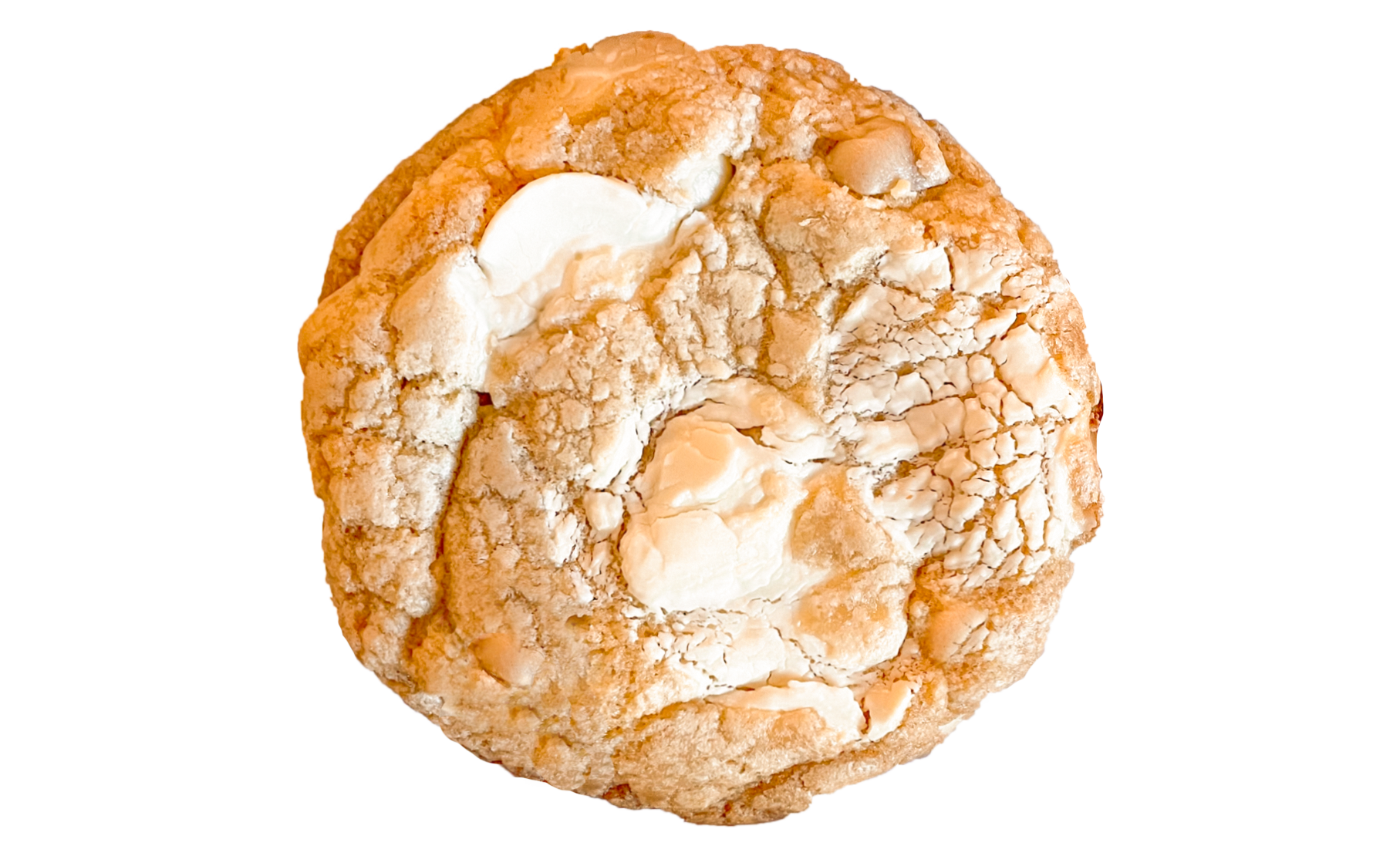 macadamia nut cookie with white chocolate